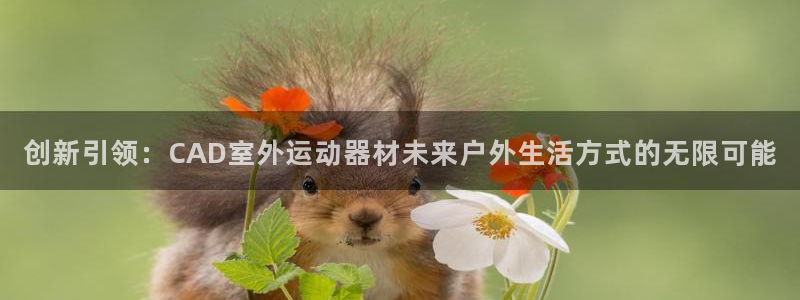 emc易倍官方集团官网