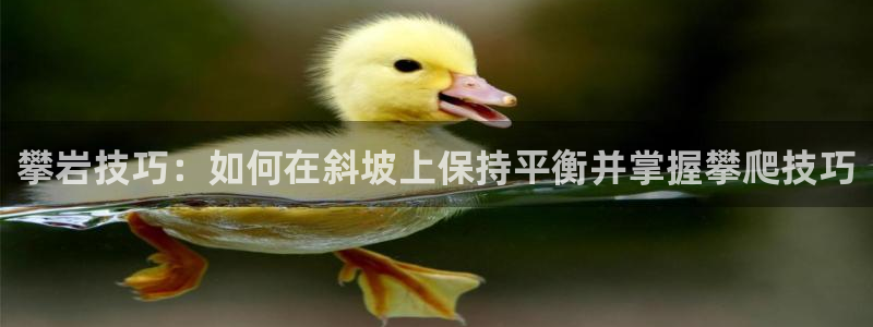 emc易倍体育官方正版app娱乐网站：攀岩技巧：如何在斜坡上