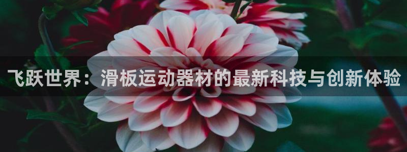 emc易倍体育官方正版app娱乐首页官网下载：飞跃世界：滑板