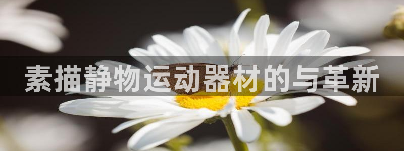 emc易倍体育官网下载平台是正规平台吗知乎：素描静物