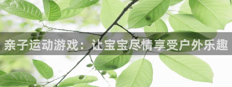 emc易倍体育官方正版app娱乐网站：亲子运动游戏：